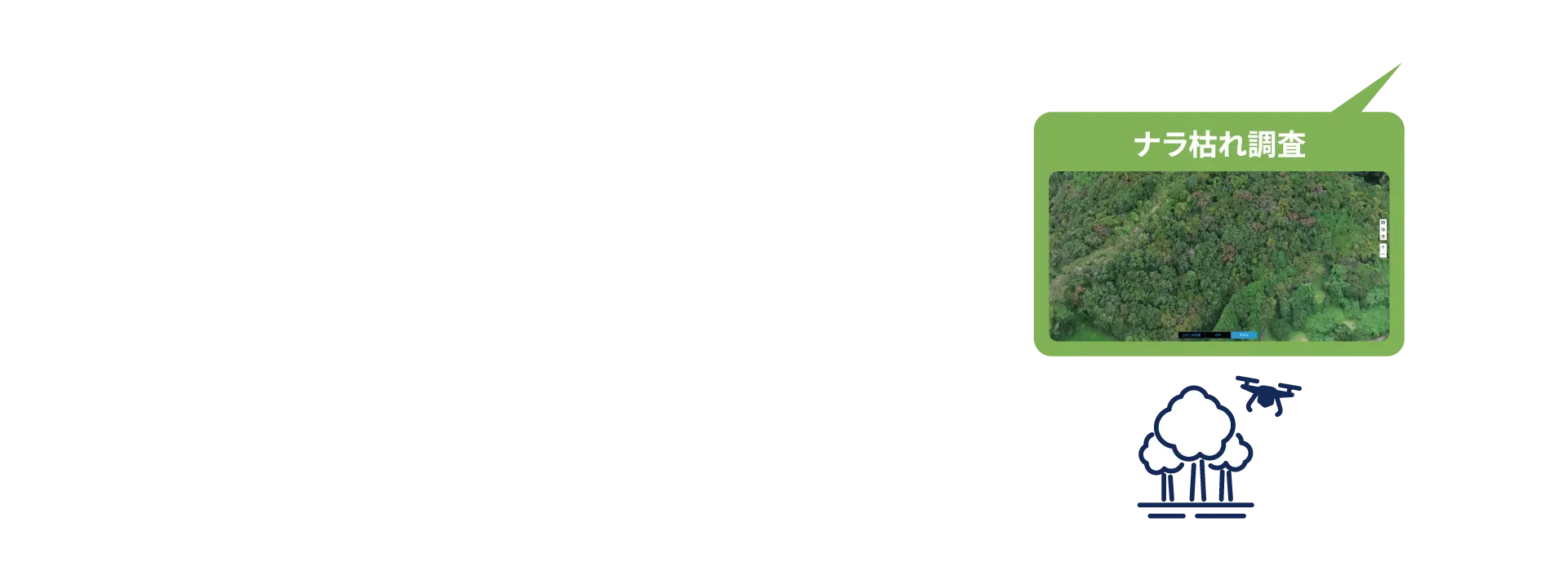 ナラ枯れ調査
