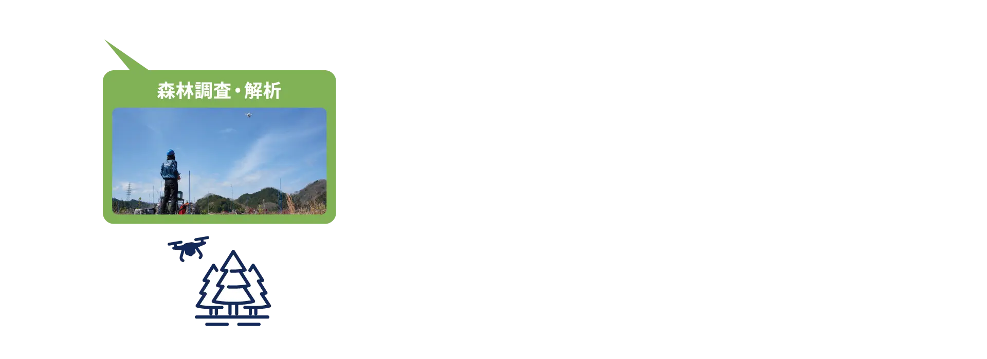 森林調査・解析